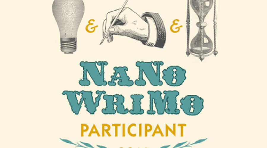 NaNo-NotSoMuch-WriMo